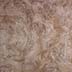 Brown Oak Burl