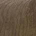 Walnut Stump