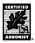 ISA Logo