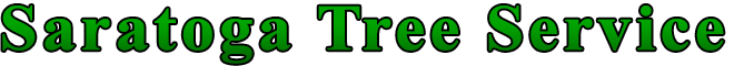 Saratoga Tree Service