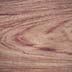 Tulipwood